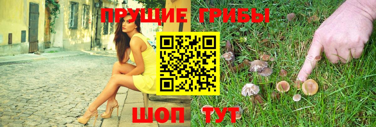 Ачхой-Мартан  Галлюциногенные грибы Magic Shrooms  Вход с VPN 